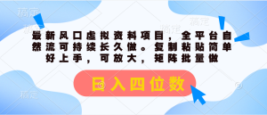 （11509期）最新风口虚拟资料项目，全平台自然流可持续长久做。复制粘贴 日入四位数-网创资源总站