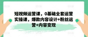 短视频运营课,0基础全套运营实操课,爆款内容设计+粉丝运营+内容变现-网创资源总站