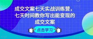 成交文案七天实战训练营，七天时间教你写出能变现的成交文案-网创资源总站