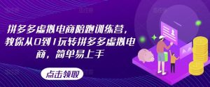 拼多多虚拟电商陪跑训练营,教你从0到1玩转拼多多虚拟电商,简单易上手-网创资源总站