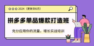 （11556期）2024拼多多-单品爆款打造班(更新6月)，充分应用你的流量，增长实战培训-网创资源总站