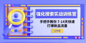 (11557期)强化 搜索实战训练营,手把手教你 7-14天快速-打爆新品流量(13节课)-网创资源总站