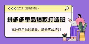 2024拼多多单品爆款打造班，充分应用你的流量，增长实战培训(更新6月)-网创资源总站