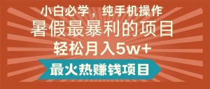 （11583期）小白必学，纯手机操作，暑假最暴利的项目轻松月入5w+最火热赚钱项目-网创资源总站