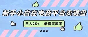 （11610期）新手小白在电商平台卖键盘，日入2K+最真实教学-网创资源总站