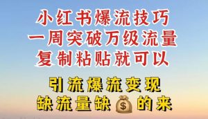 小红书爆流技巧，一周突破万级流量，复制粘贴就可以，引流爆流变现【揭秘】-网创资源总站