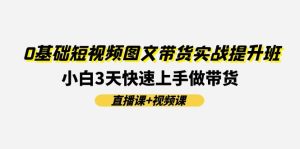 （11641期）0基础短视频图文带货实战提升班(直播课+视频课)：小白3天快速上手做带货-网创资源总站