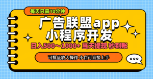 （11645期）小程序开发 广告赚钱 日入500~1000+ 小白轻松上手！-网创资源总站