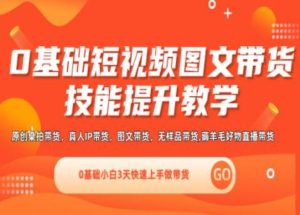 0基础短视频图文带货实操技能提升教学(直播课+视频课),0基础小白3天快速上手做带货-网创资源总站