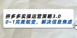 （11658期）2024_2025拼多多实操运营策略3.0，0~1完美蜕变，解决信息焦虑（38节）-网创资源总站