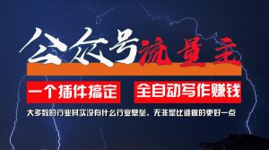 （11659期）利用AI插件2个月涨粉5.6w，一键生成，即使你不懂技术，也能轻松上手-网创资源总站
