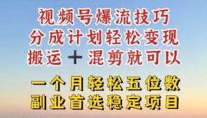 视频号爆流技巧，分成计划轻松变现，搬运 +混剪就可以，一个月轻松五位数稳定项目【揭秘】-网创资源总站