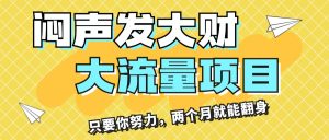 (11688期)闷声发大财,大流量项目,月收益过3万,只要你努力,两个月就能翻身-网创资源总站