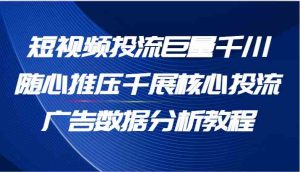短视频投流巨量千川随心推压千展核心投流广告数据分析教程（65节）-网创资源总站