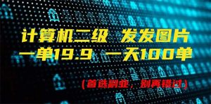 （11715期）计算机二级，一单19.9 一天能出100单，每天只需发发图片（附518G资料）-网创资源总站