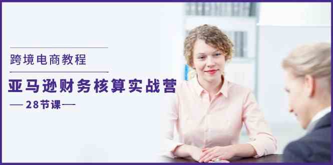 跨境电商教程:亚马逊财务核算实战营(28节课)-网创资源总站