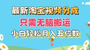 （11744期）最新淘宝视频分成，只需无脑搬运，小白也能轻松月入五位数，可矩阵批量…-网创资源总站