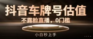 抖音车牌号估值，不露脸直播，0门槛，小白秒上手【揭秘】-网创资源总站