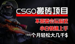 CSGO 装备搬砖项目，操作简单，不需要会玩游戏，小白也能快速上手，一个月轻松大几千【揭秘】-网创资源总站