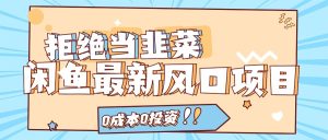 拒绝当韭菜！（11781期）闲鱼最新风口项目，0成本0投资，当日出单，日入1000+-网创资源总站