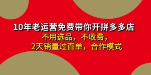 （11853期）拼多多 最新合作开店日收4000+两天销量过百单，无学费、老运营代操作、…-网创资源总站