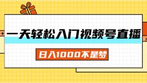（11906期）一天入门视频号直播带货，日入1000不是梦-网创资源总站