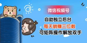 （11910期）微信视频号自助独立后台每天躺赚三位数可矩阵操作解放双手-网创资源总站