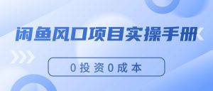 （11923期）闲鱼风口项目实操手册，0投资0成本，让你做到，月入过万，新手可做-网创资源总站