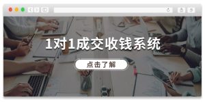 （11936期）1对1成交 收钱系统，十年专注于引流和成交，全网130万+粉丝-网创资源总站