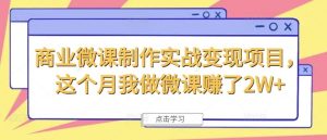 商业微课制作实战变现项目，这个月我做微课赚了2W+-网创资源总站