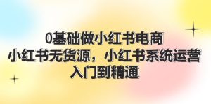 0基础做小红书电商,小红书无货源系统运营,入门到精通 (70节)-网创资源总站