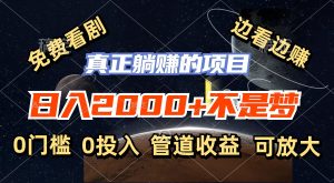 (11979期)免费看剧,边看边赚,日入2000+不是梦,一个真正的躺赚项目-网创资源总站