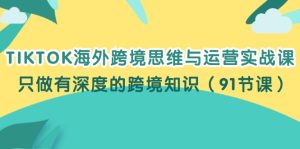 （12010期）TIKTOK海外跨境思维与运营实战课，只做有深度的跨境知识（91节课）-网创资源总站