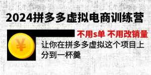 （12024期）2024拼多多虚拟电商训练营 不s单 不改销量  做虚拟项目分一杯羹(更新10节)-网创资源总站