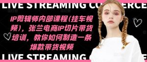 IP剪辑师内部课程(挂车视频)，张兰电商IP切片带货培训，教你如何制造一条爆款带货视频-网创资源总站