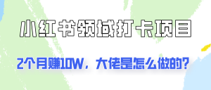 通过小红书领域打卡项目2个月赚10W，大佬是怎么做的？-网创资源总站