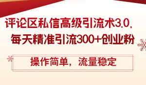 (12145期)评论区私信高级引流术3.0,每天精准引流300+创业粉,操作简单,流量稳定-网创资源总站