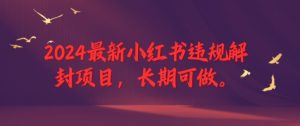 2024最新小红书违规解封项目,长期可做,一个可以做到退休的项目-网创资源总站