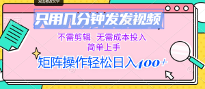 （12159期）只用几分钟发发视频，不需剪辑，无需成本投入，简单上手，矩阵操作轻松…-网创资源总站