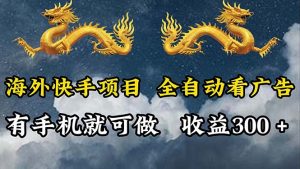 (12175期)海外快手项目,利用工具全自动看广告,每天轻松 300+-网创资源总站