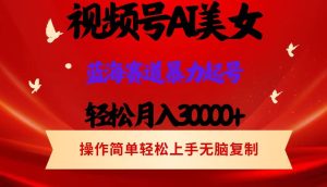 （12178期）视频号AI美女跳舞，轻松月入30000+，蓝海赛道，流量池巨大，起号猛，当…-网创资源总站