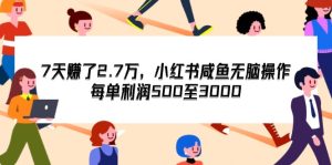（12192期）7天收了2.7万，小红书咸鱼无脑操作，每单利润500至3000-网创资源总站