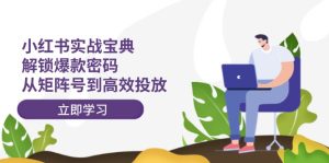 (12201期)小红书实战宝典:解锁爆款密码,从矩阵号到高效投放-网创资源总站