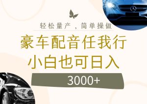 （12206期）不为人知的暴力小项目，豪车配音，日入3000+-网创资源总站