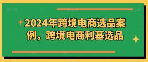 2024年跨境电商选品案例，跨境电商利基选品（更新）-网创资源总站