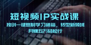 短视频IP实战课，独创一键复制学习秘籍，转战新领域，月赚五万轻松行-网创资源总站