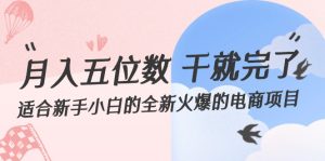 (12241期)月入五位数 干就完了 适合新手小白的全新火爆的电商项目-网创资源总站