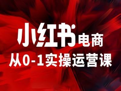 小红书电商从0-1实操运营课,让你从小白到精英-网创资源总站
