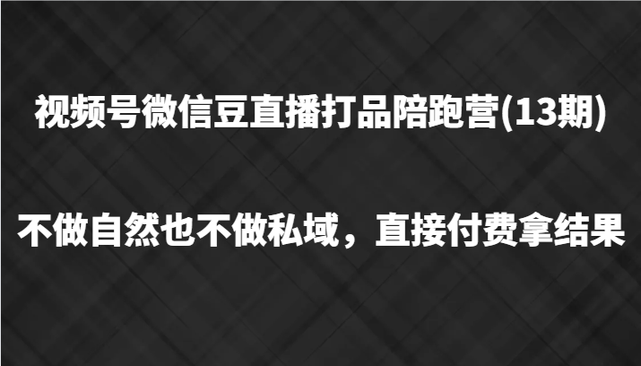 视频号微信豆直播打品陪跑(13期),不做不自然流不做私域,直接付费拿结果-网创资源总站