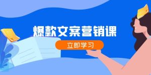 爆款文案营销课:公域转私域,涨粉成交一网打尽,各行业人士必备-网创资源总站